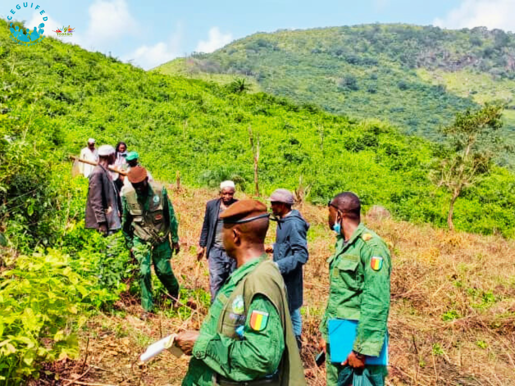 11 septembre 2024, mission de suivi Ministère Environnement, site de reboisement 8 hectares à Walanyi, district de Daboya, commune rurale de Friguiagbé, préfecture de Kindia