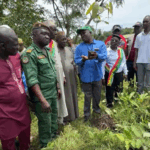 Reboisement à Molota : Le CEGUIFED lance une opération sur 10 hectares avec l’appui du FECAN