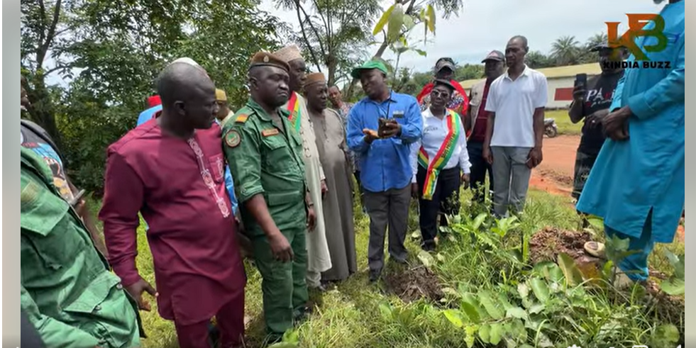 Reboisement à Molota : Le CEGUIFED lance une opération sur 10 hectares avec l’appui du FECAN