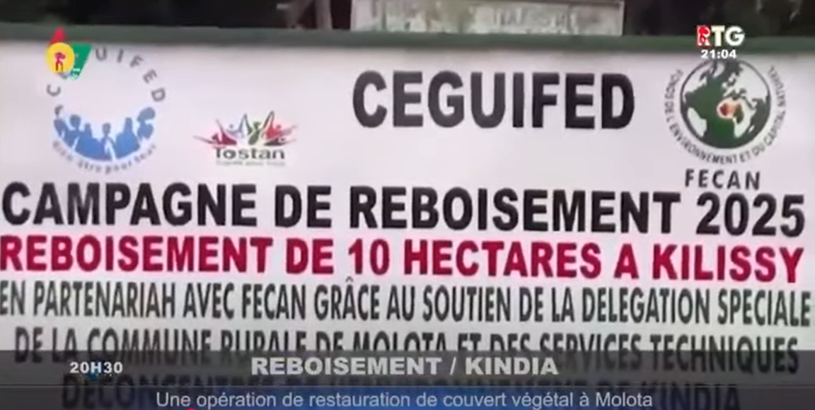 Lancement de la campagne nationale de reboisement 2025, financée par le Fonds de l’Environnement et du Capital Naturel (FECAN).
